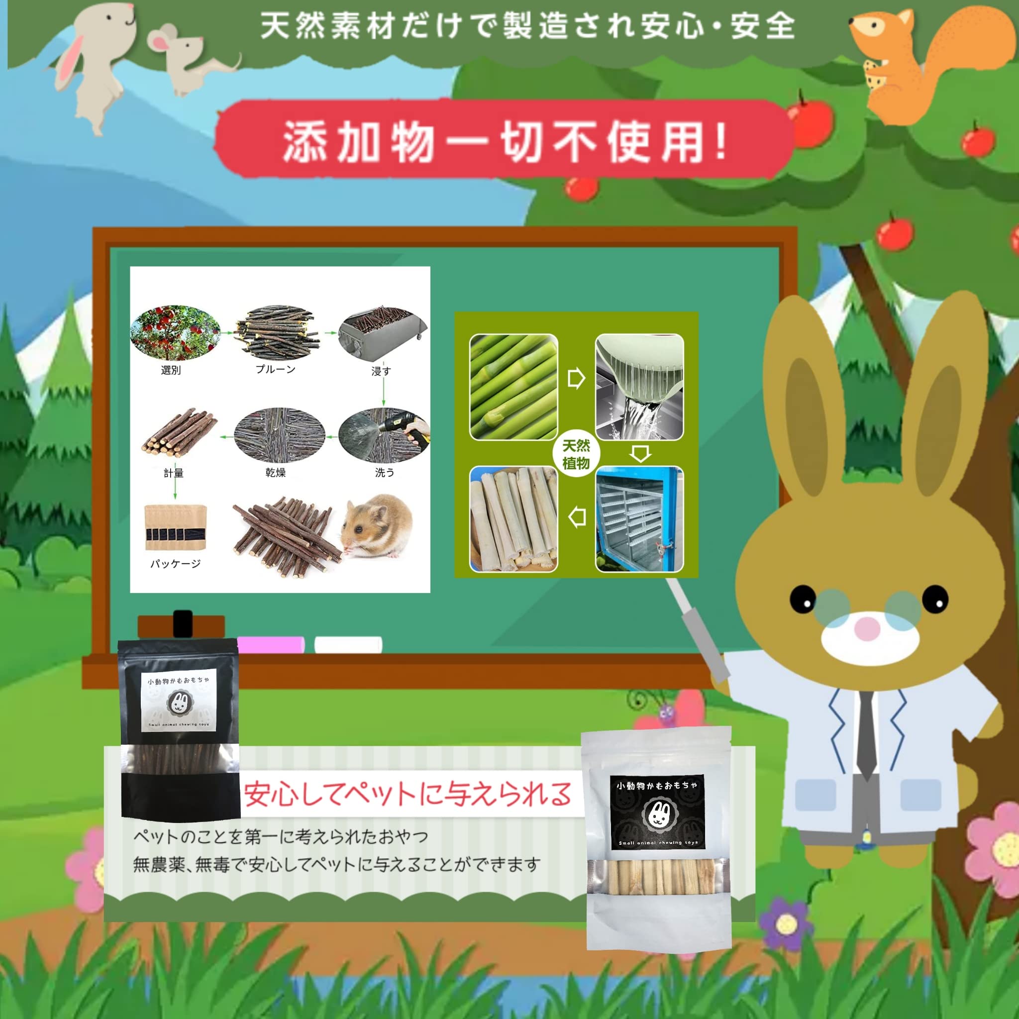 Amazon.co.jp: I'm WATARU 令和7年度産 初摘み りんご枝